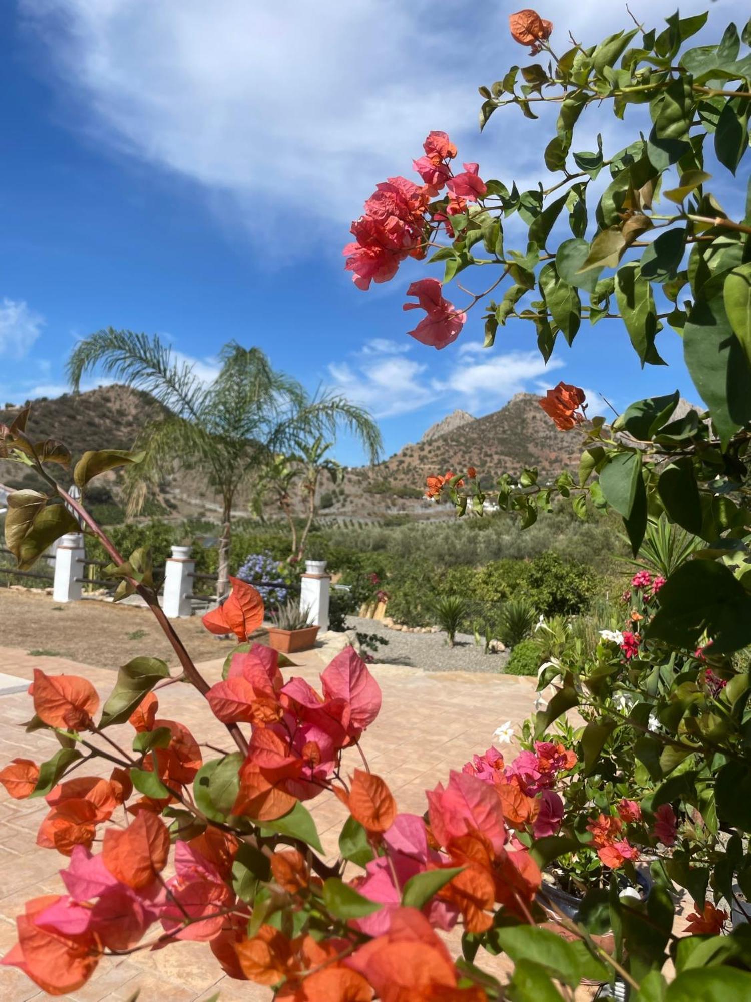 Finca Valle Verde Alora Bagian luar foto