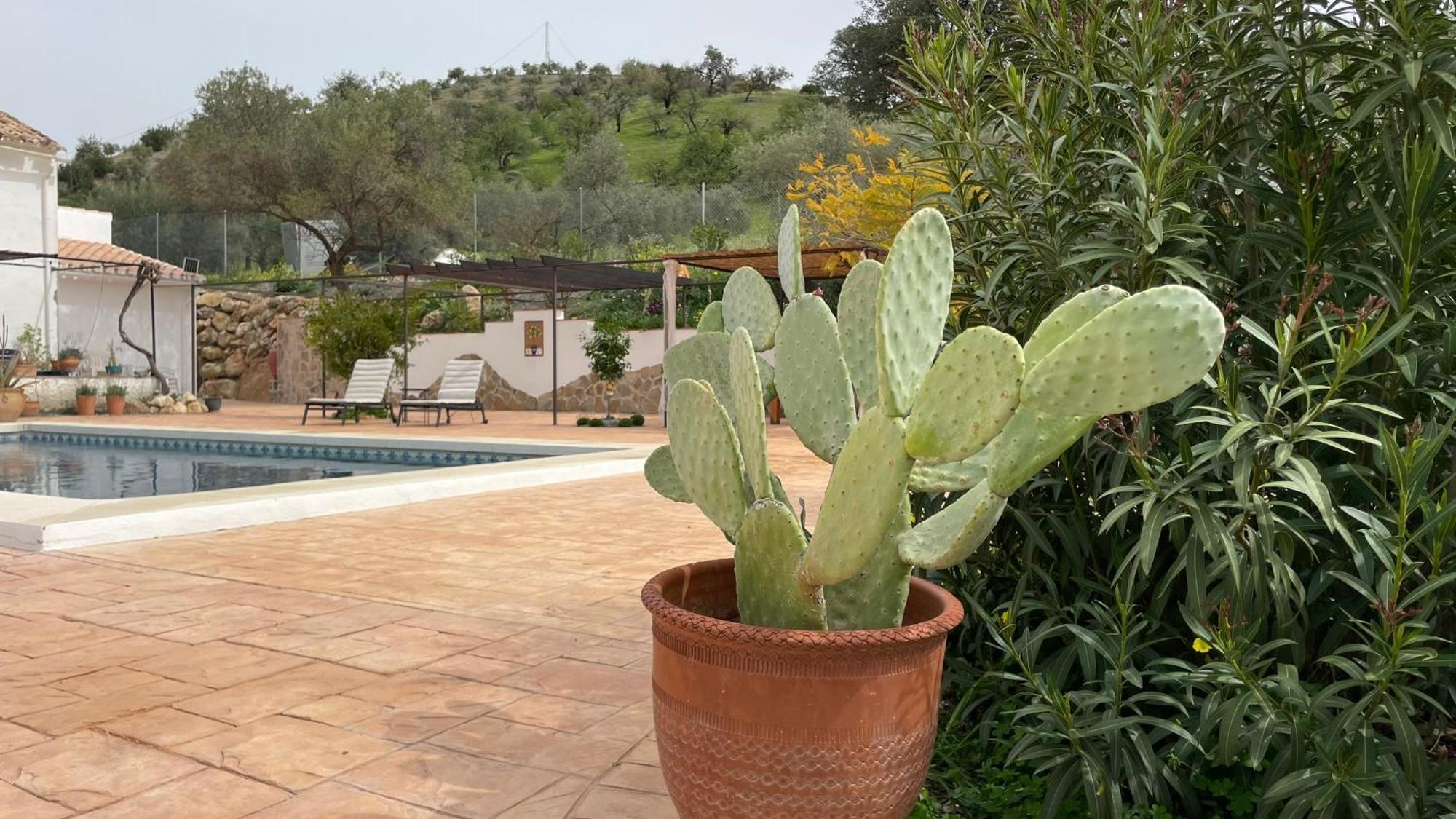 Finca Valle Verde Alora Bagian luar foto