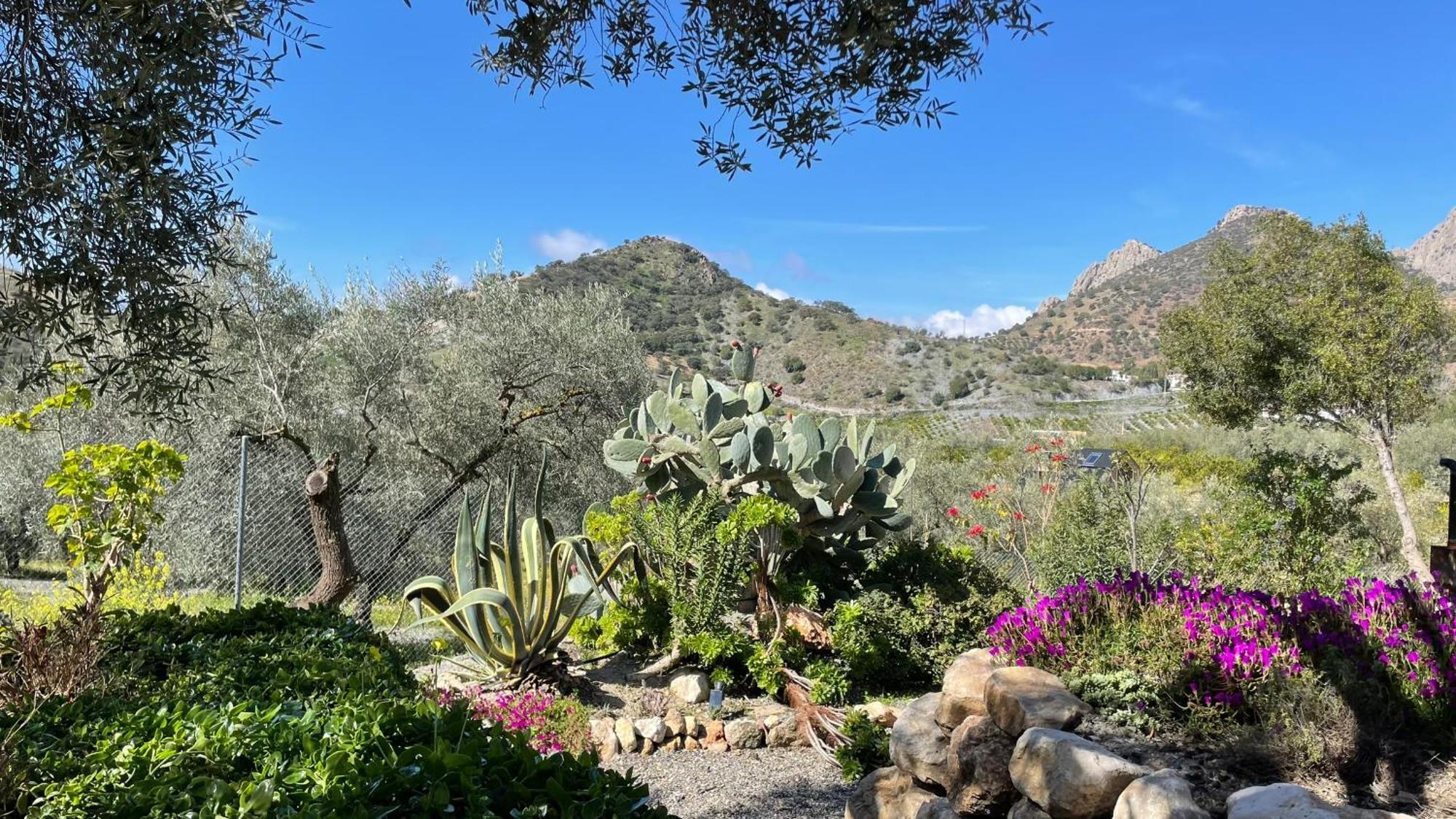 Finca Valle Verde Alora Bagian luar foto