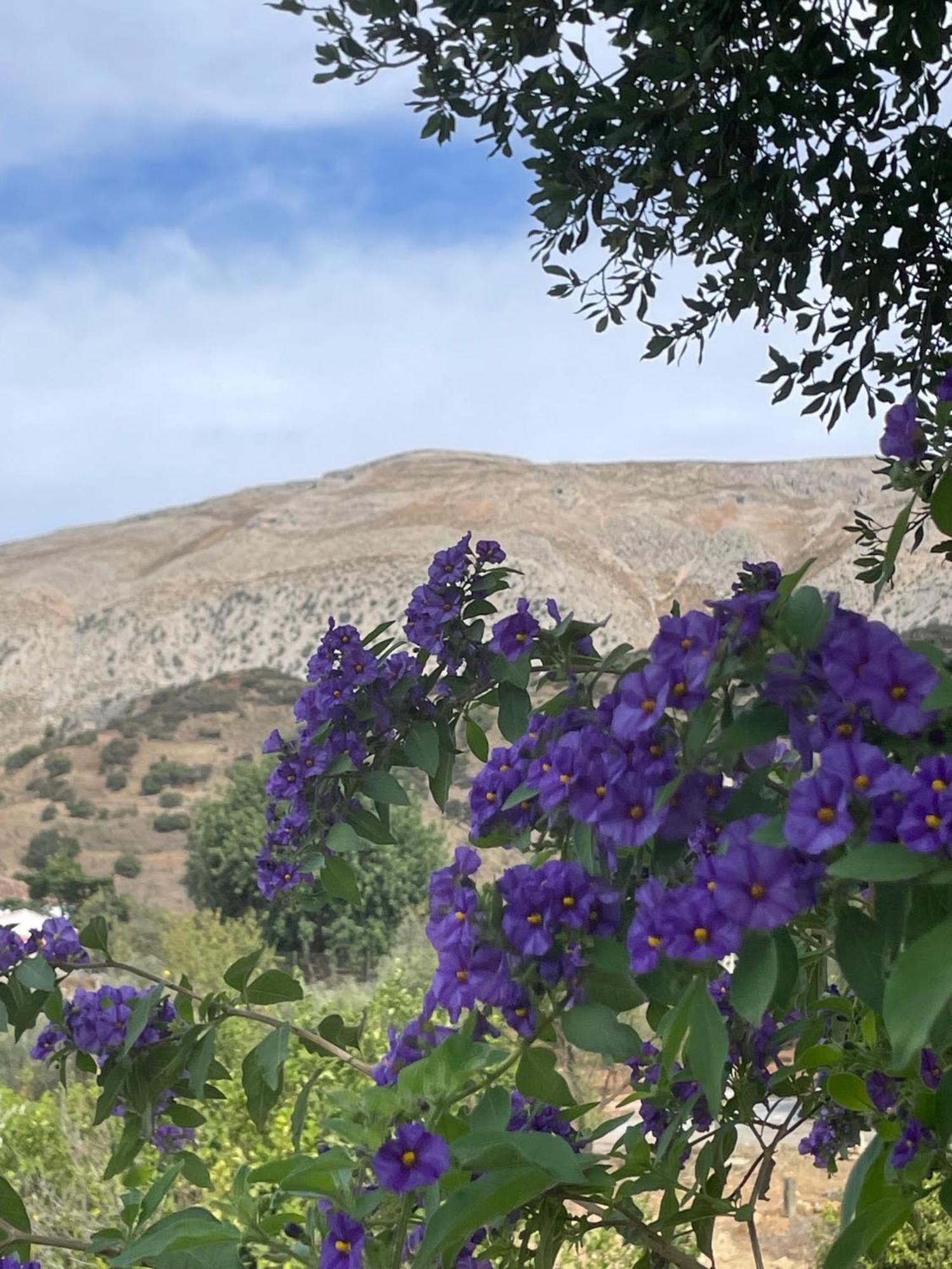 Finca Valle Verde Alora Bagian luar foto
