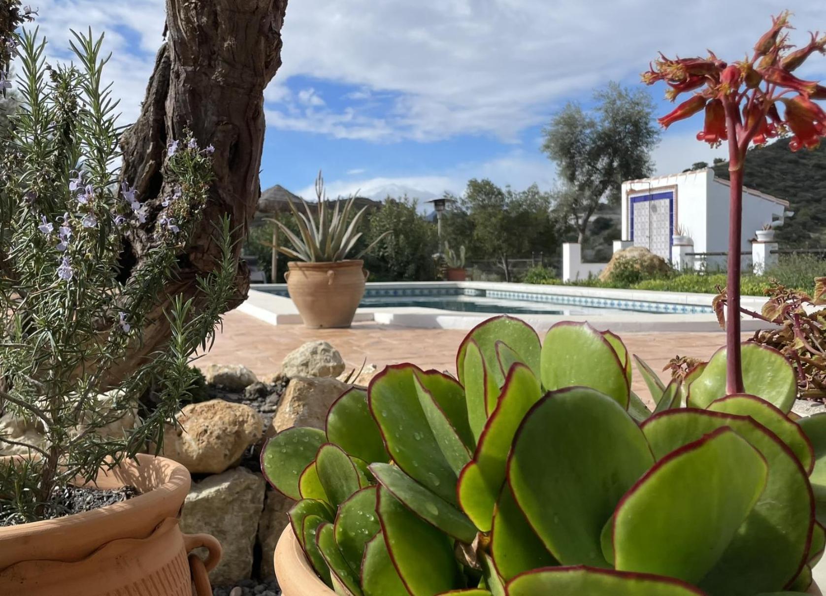 Finca Valle Verde Alora Bagian luar foto