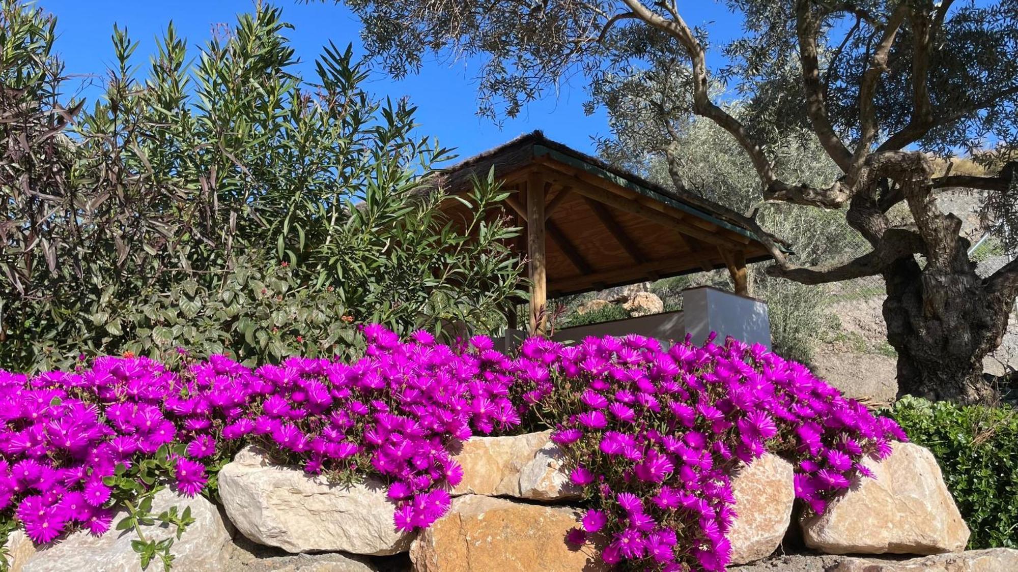 Finca Valle Verde Alora Bagian luar foto