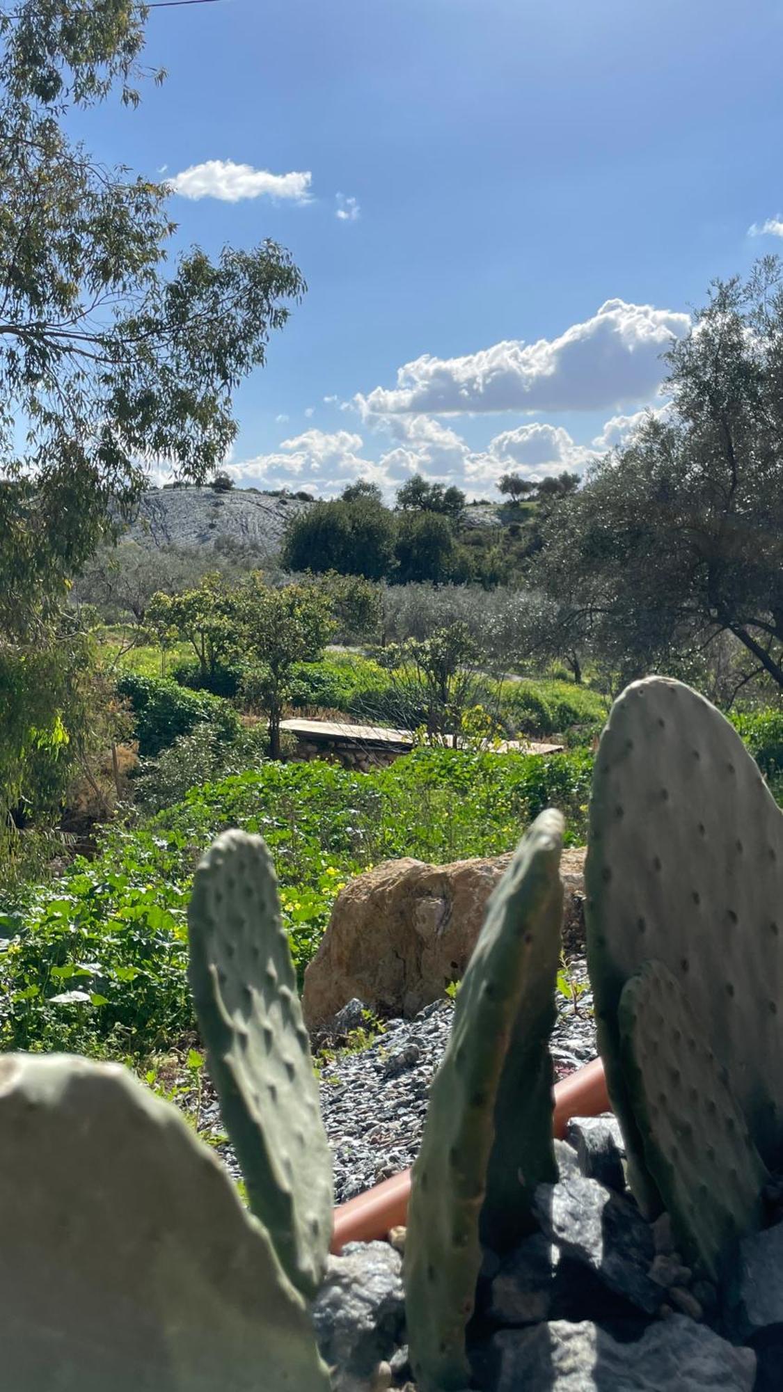 Finca Valle Verde Alora Bagian luar foto